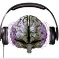 Musical Vibrations